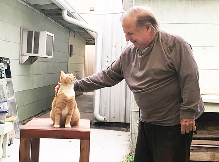 Charlie the cat cashes in on first place finish in pet photo contest